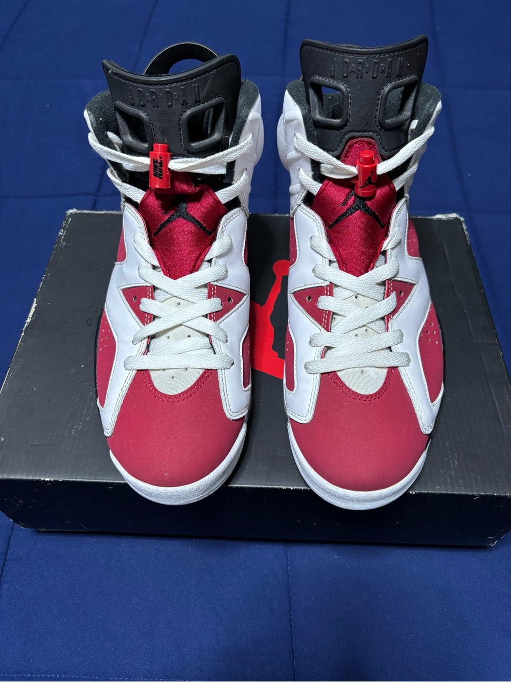 Jordan 6 Retro OG Carmine 2021 Size 9